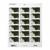 White Apple Blossom Etiket (Full Sheet)