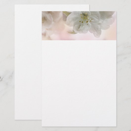 White Apple Blossom Photography Briefpapier (Voorkant / Achterkant)