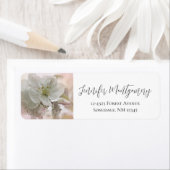 White Apple Blossom Photography Etiket (Insitu)