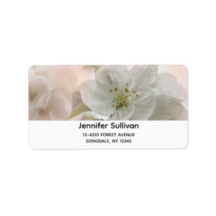 White Apple Blossom Photography Etiket