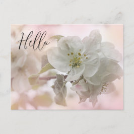 White Apple Blossom Photography Hallo Briefkaart