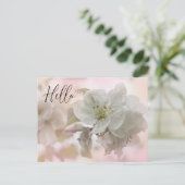 White Apple Blossom Photography Hallo Briefkaart (Staand voorkant)
