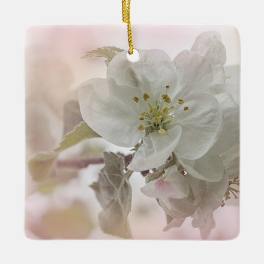 White Apple Blossom Photography Keramisch Ornament (Voorkant)