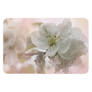 White Apple Blossom Photography Magneet