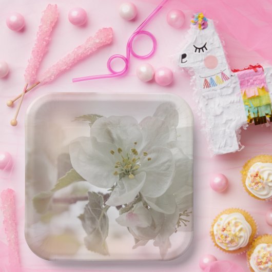 White Apple Blossom Photography Papieren Bordje (Feest)