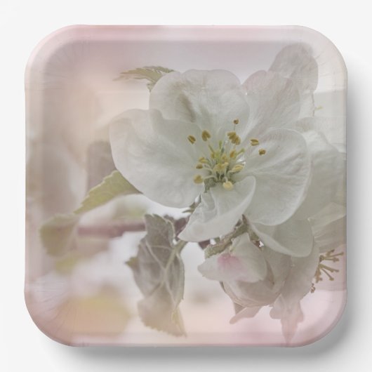 White Apple Blossom Photography Papieren Bordje (Voorkant)