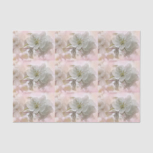 White Apple Blossom Photography Patterted Tissuepapier