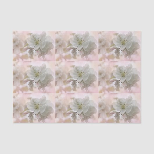 White Apple Blossom Photography Patterted Tissuepapier (Voorkant)