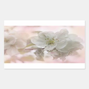 White Apple Blossom Photography Rechthoekige Sticker