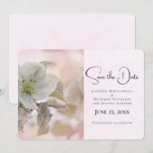 White Apple Blossom Photography Save The Date (Voorkant / Achterkant)