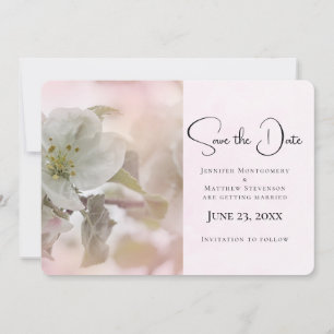 White Apple Blossom Photography Save The Date