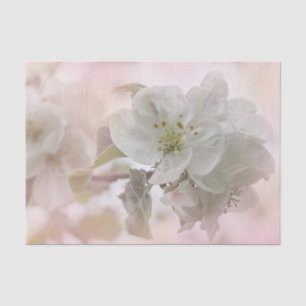White Apple Blossom Photography Tissuepapier