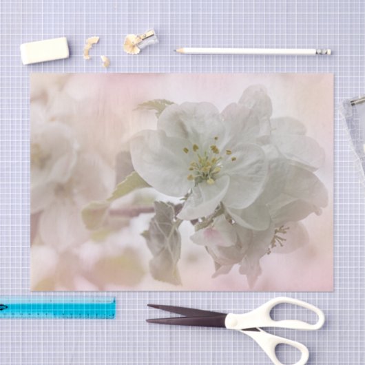 White Apple Blossom Photography Tissuepapier (Craft)