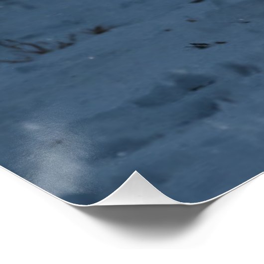 White Arctic Fox Perfect Poster (Hoek)