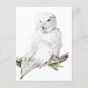 White Arctic Snowy Owl Briefkaart