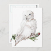 White Arctic Snowy Owl Briefkaart (Voorkant / Achterkant)