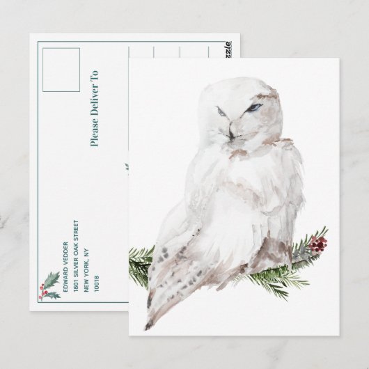 White Arctic Snowy Owl Briefkaart (Voorkant / Achterkant)