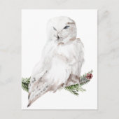 White Arctic Snowy Owl Briefkaart (Voorkant)