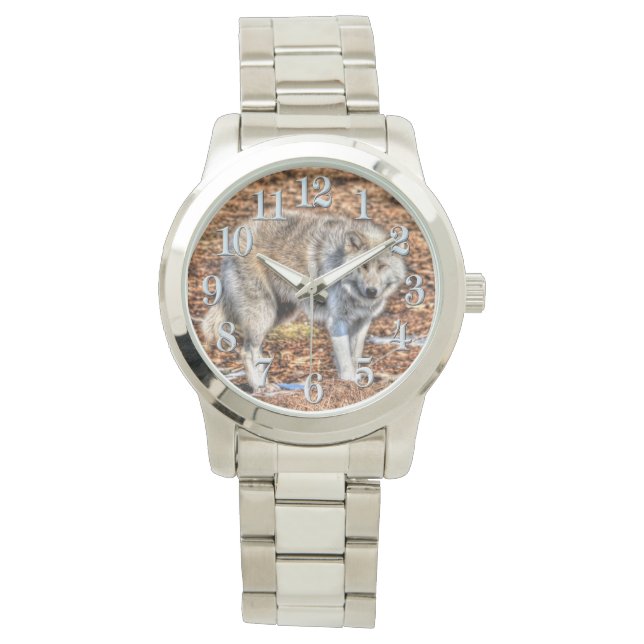 White Arctic Wolf and Forest Debris Wildlife Watch Horloge (Voorkant)