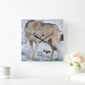 White Arctic Wolf and Snow Wildlife Art Clock Vierkante Klok (Huis)