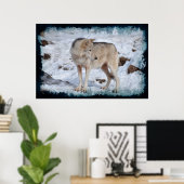 White Arctic Wolf and Winter Snow Wildlife Foto Poster (Thuiskantoor)