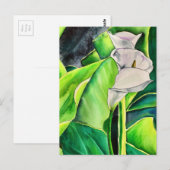 White Arum Lily waterverf tropische florale bloedi Briefkaart (Voorkant / Achterkant)