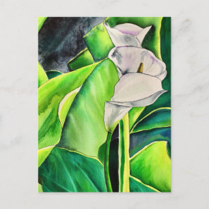 White Arum Lily waterverf tropische florale bloedi Briefkaart