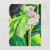 White Arum Lily waterverf tropische florale bloedi Briefkaart (Voorkant)