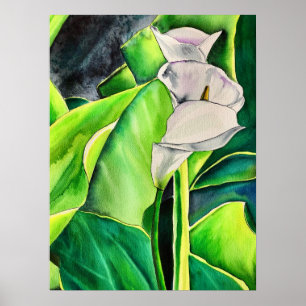 White Arum Lily waterverf tropische florale bloedi Poster