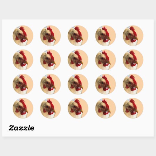 White Australorp Hen Sticker (Vel)