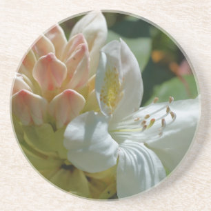 White Azalea Floral Drink Onderzetter