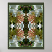 White Azalea flower bloesem and Bud Abstract Poster (Voorkant)