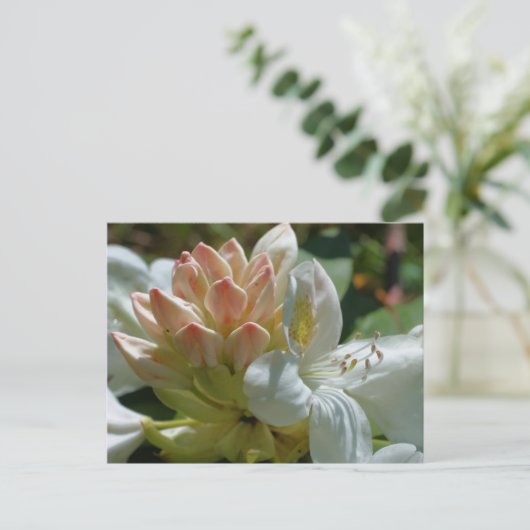 White Azalea Flower Briefkaart (Staand voorkant)