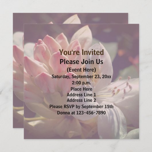 White Azalea Flower Kaart (Voorkant / Achterkant)