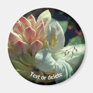 White Azalea Flower Personalized Magneet