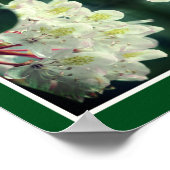 White Azalea Flower with Raindrops Abstract Poster (Hoek)