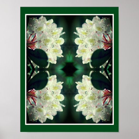 White Azalea Flower with Raindrops Abstract Poster (Voorkant)
