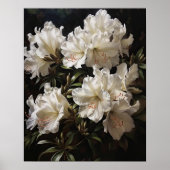 White Azalea Flowers Art Print Poster (Voorkant)