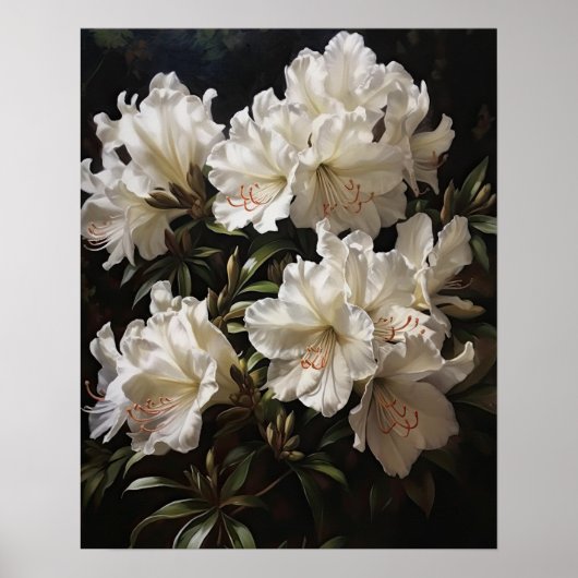 White Azalea Flowers Art Print Poster (Voorkant)