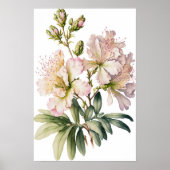 White Azalea Flowers Art Print Poster (Voorkant)