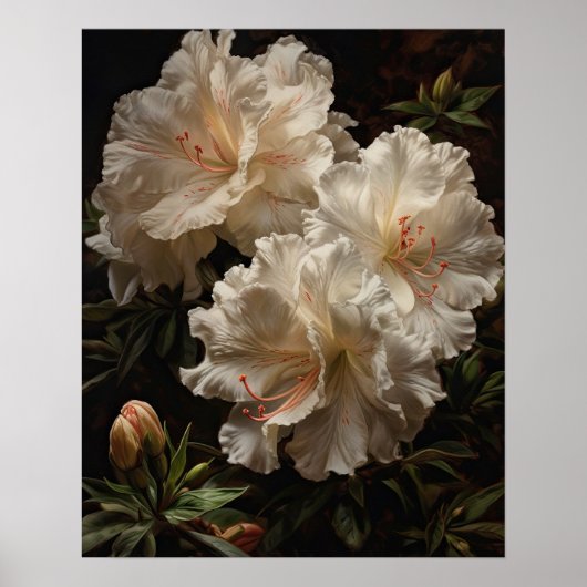 White Azalea Flowers Art Print Poster (Voorkant)