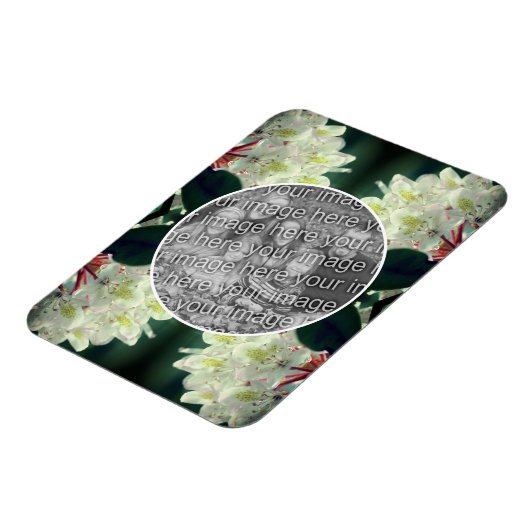 White Azalea Flowers Lijst Uw foto toevoegen Magneet (Linkerzijde)