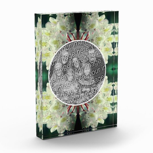 White Azalea Flowers Voeg je Fotoblokken (Links)