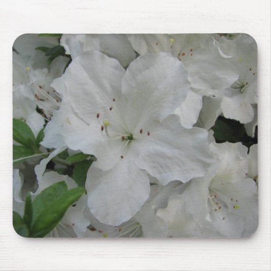 White Azalea Mousepad Muismat (Voorkant)