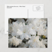 White Azaleas 2008 Briefkaart (Voorkant / Achterkant)
