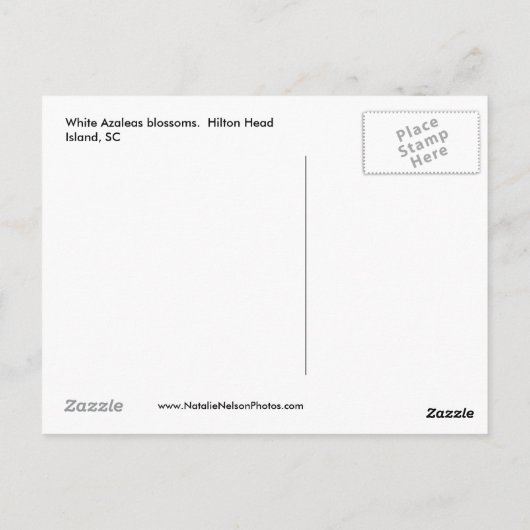 White Azaleas 2008 Briefkaart (Achterkant)