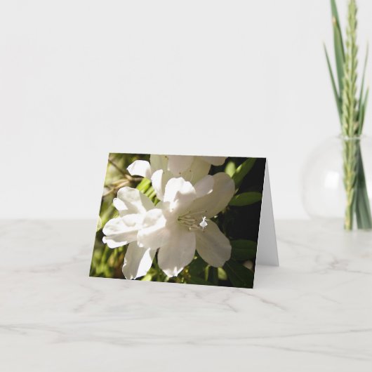 White Azalia Shadow Fairy Kaart (Voorkant)