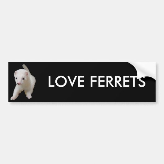White Baby Ferret Bumpersticker (Voorkant)