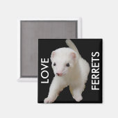 White Baby Ferret Magnet (Voorkant / Achterkant)