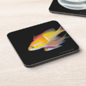 White Bar Anthias Drankjes Onderzetter (Linkerzijde)